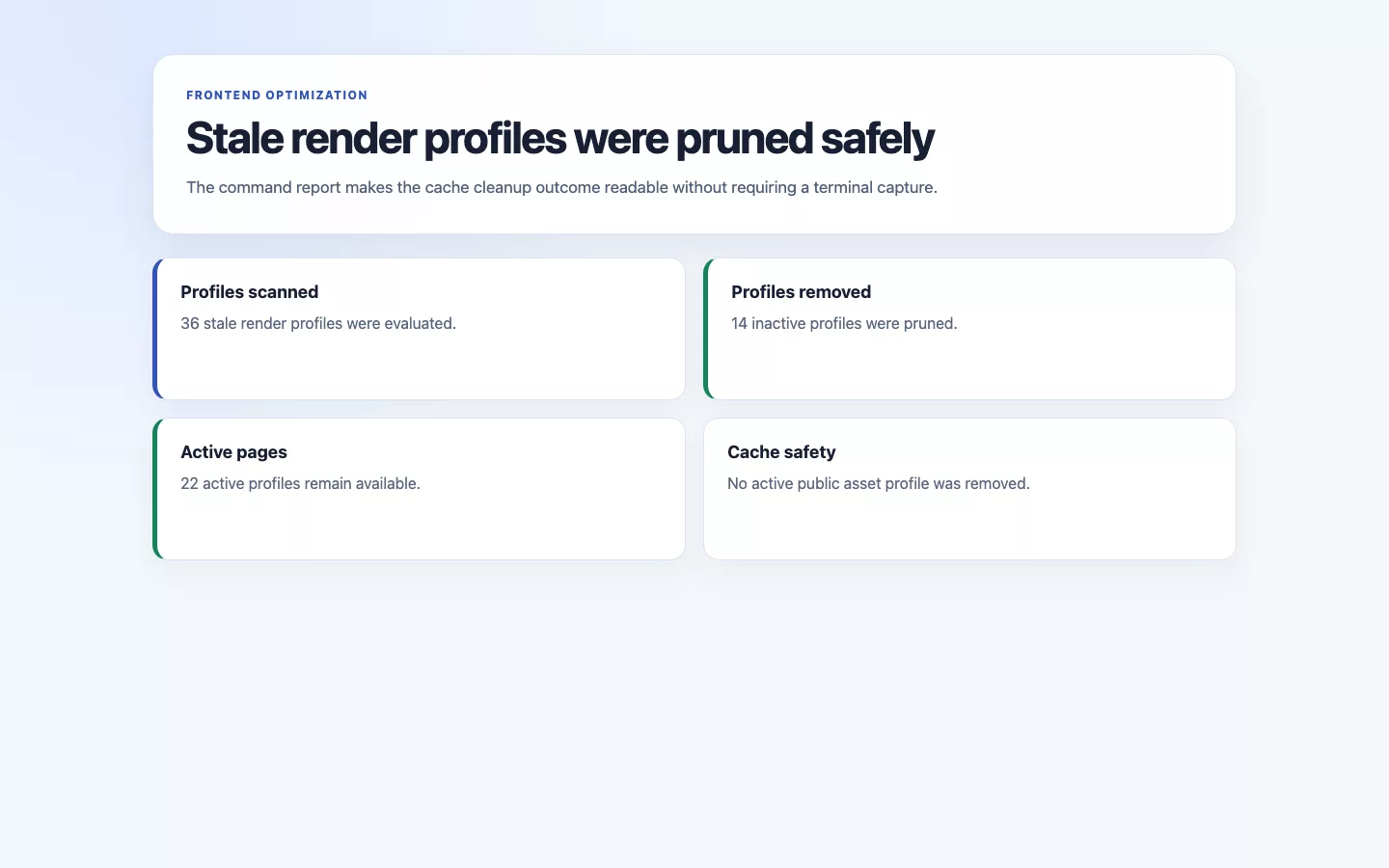 Frontend Optimizer screenshot showing frontend optimizer prune command output.