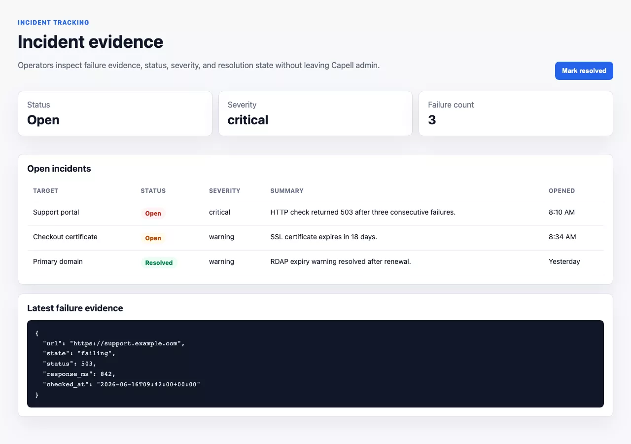 Site Monitor screenshot showing site monitor incident detail.