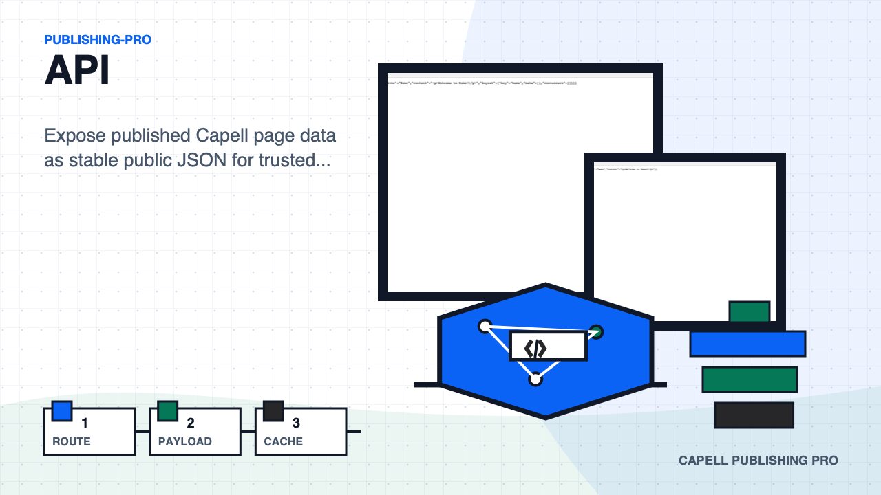 API extension preview image