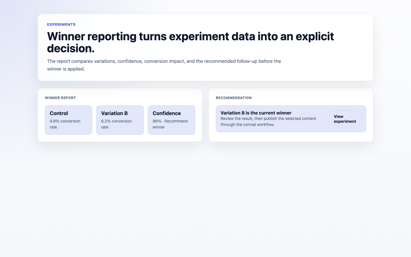 Experiment Winner Report screenshot.
